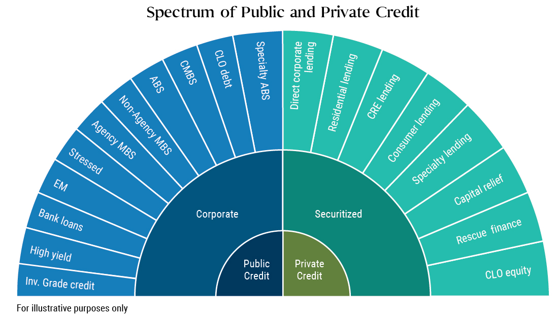 Spectrum of Public and Private Credit